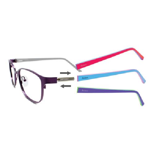 Eyeglasses - SWITCH FLEX